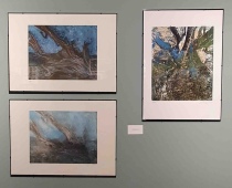 Opere di Lucia Caprioglio